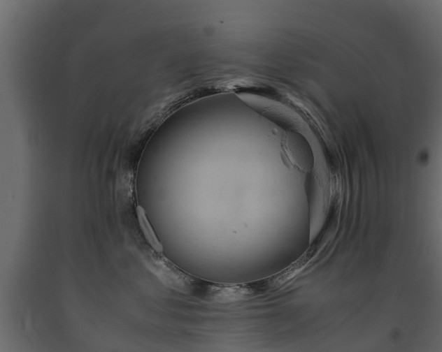 X0000091650621200708231223