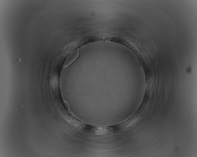 X0000091650623200708231222