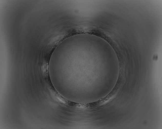 X0000091650624200708231222