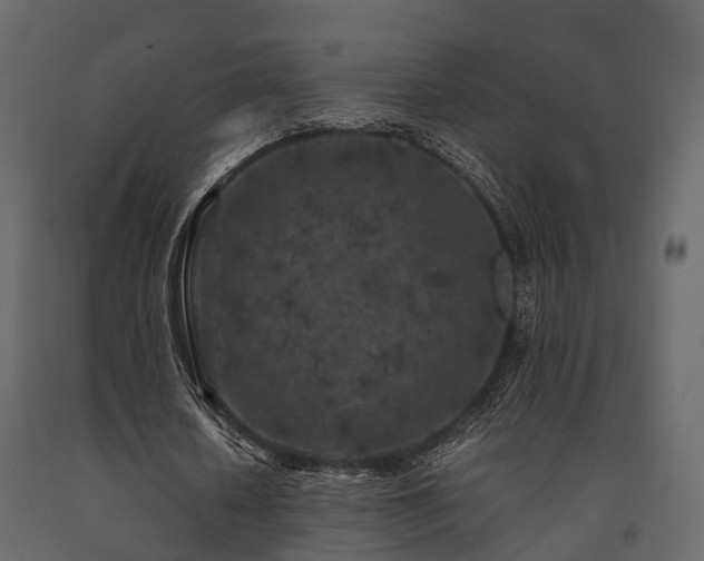 X0000091650626200708231222