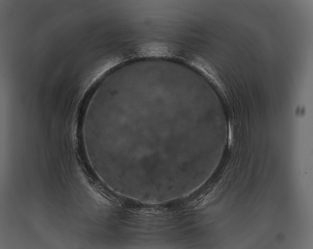 X0000091650627200708231222