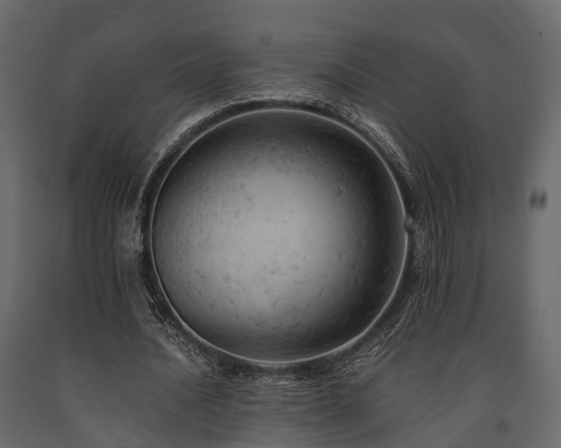 X0000091650628200708231222