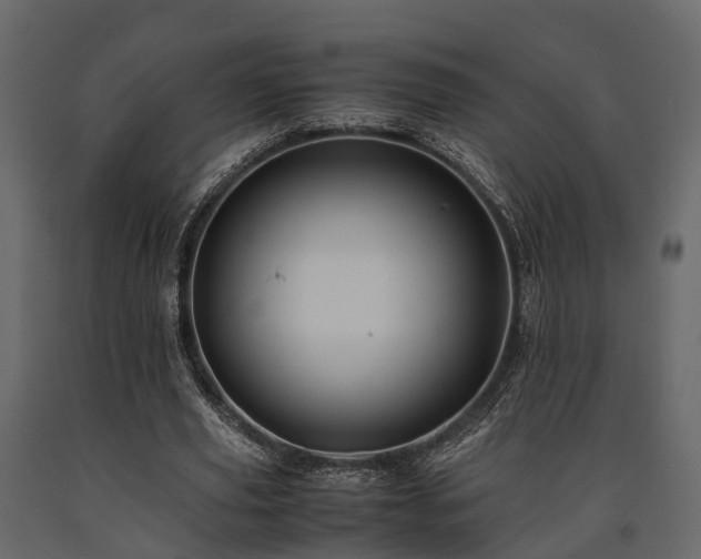 X0000091650629200708231222