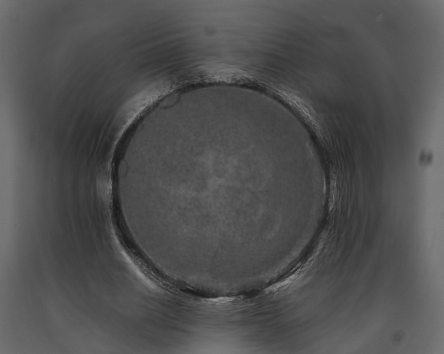 X0000091650630200708231222