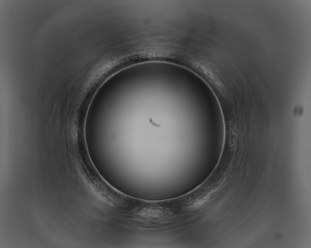 X0000091650631200708231222