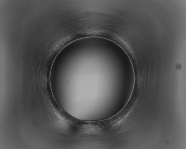 X0000091650633200708231222