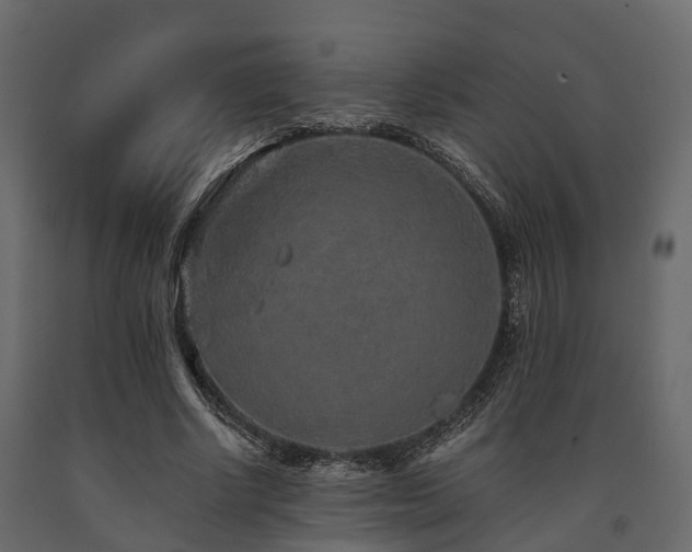X0000091650634200708231222