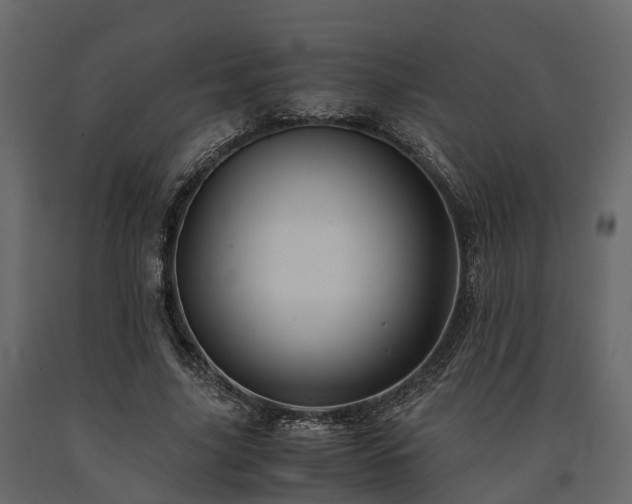 X0000091650635200708231222