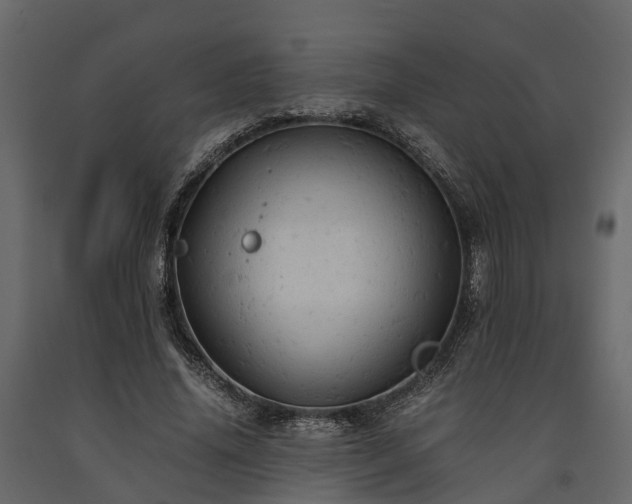 X0000091650636200708231222