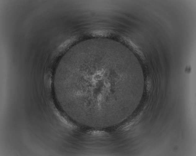 X0000091650637200708231222