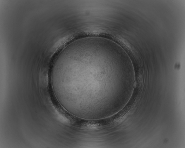 X0000091650638200708231222