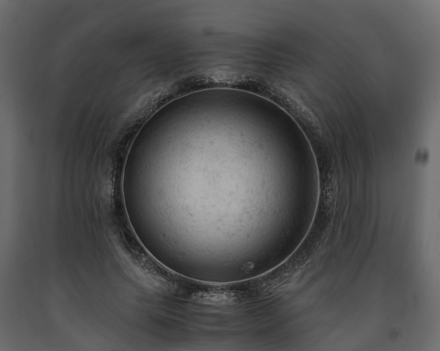 X0000091650639200708231222