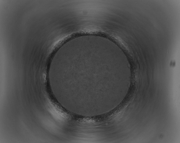 X0000091650640200708231222