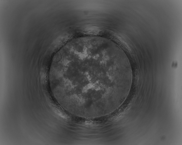 X0000091650641200708231222