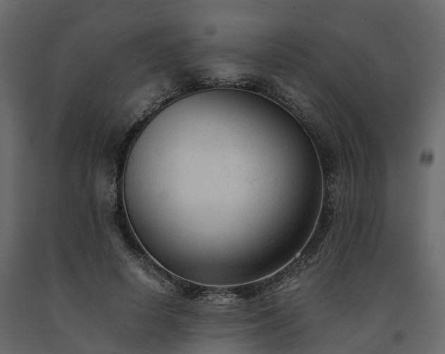 X0000091650642200708231222