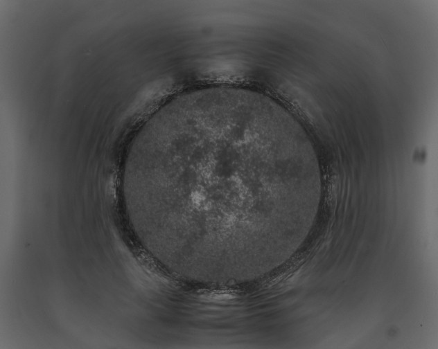 X0000091650643200708231222