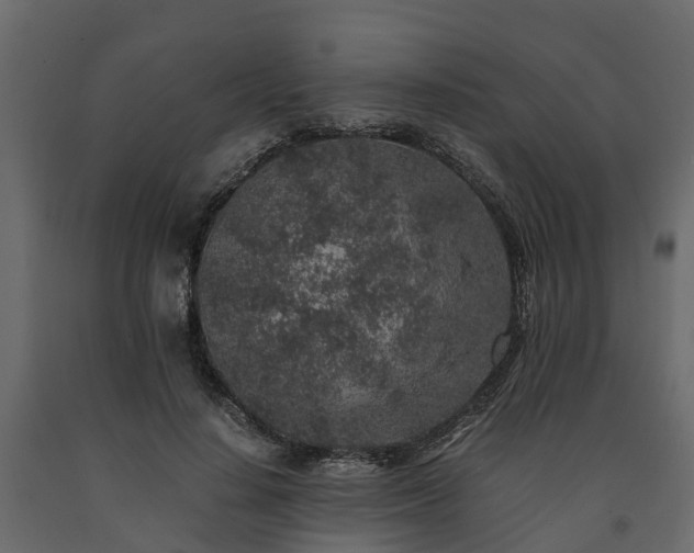 X0000091650644200708231222