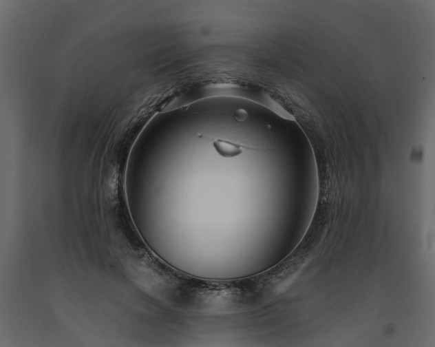 X0000091650646200708231222