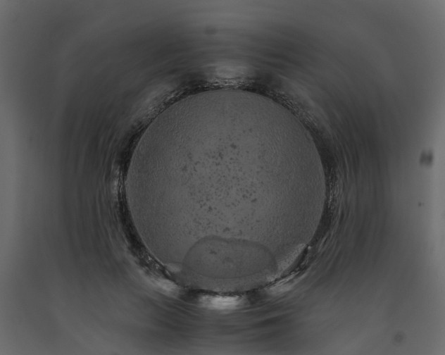 X0000091650647200708231222