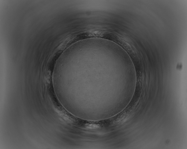 X0000091650649200708231222
