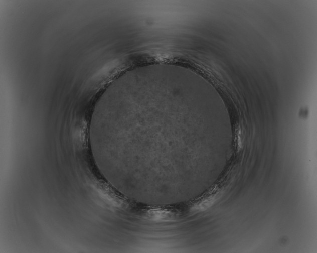 X0000091650650200708231222