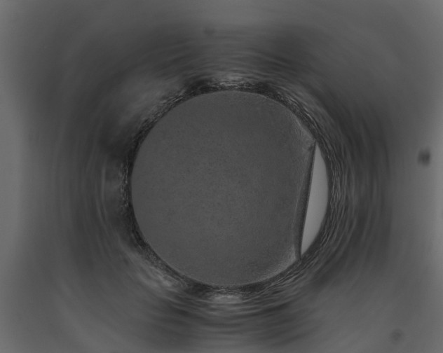 X0000091650653200708231222