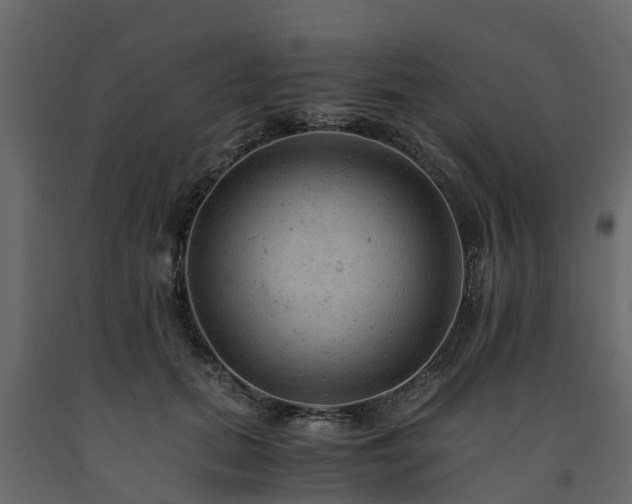 X0000091650655200708231222