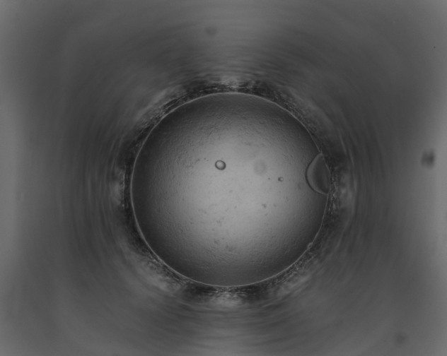 X0000091650656200708231222