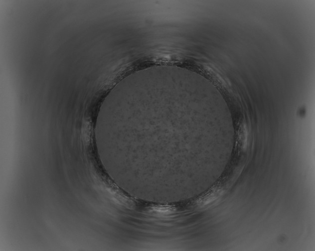 X0000091650659200708231222