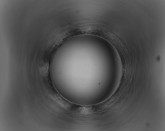 X0000091650660200708231222