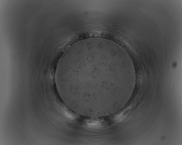 X0000091650661200708231222