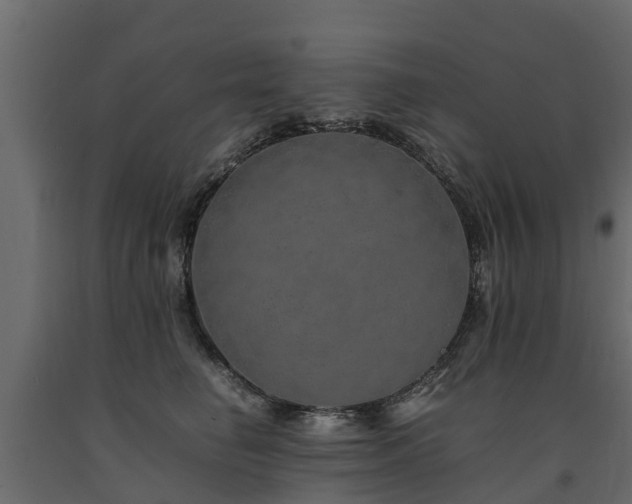 X0000091650662200708231222