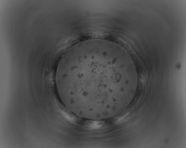 X0000091650663200708231222