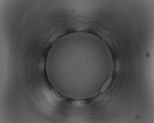 X0000091650664200708231222