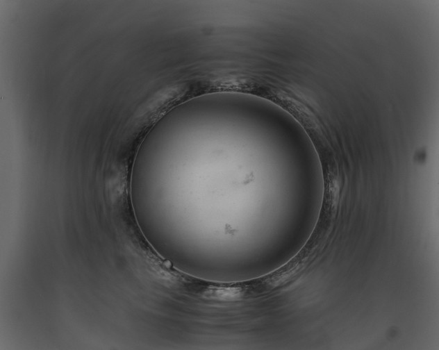 X0000091650665200708231222