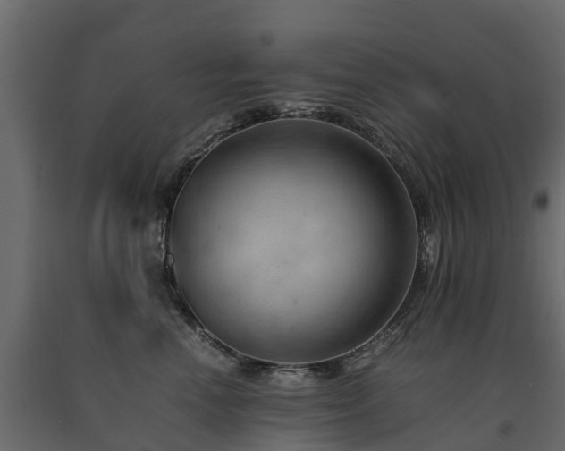 X0000091650666200708231222