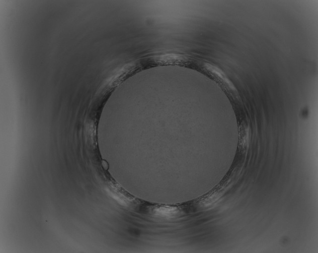 X0000091650669200708231222