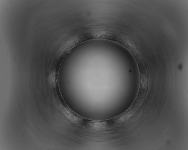 X0000091650670200708231222