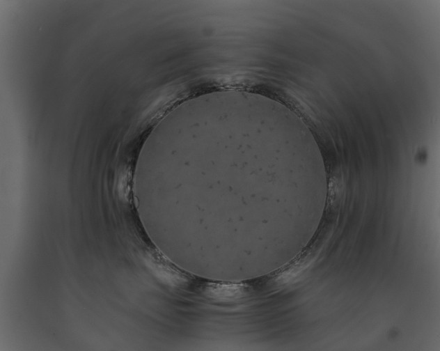 X0000091650671200708231222