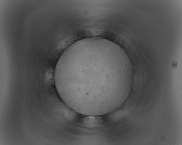 X0000091650672200708231222