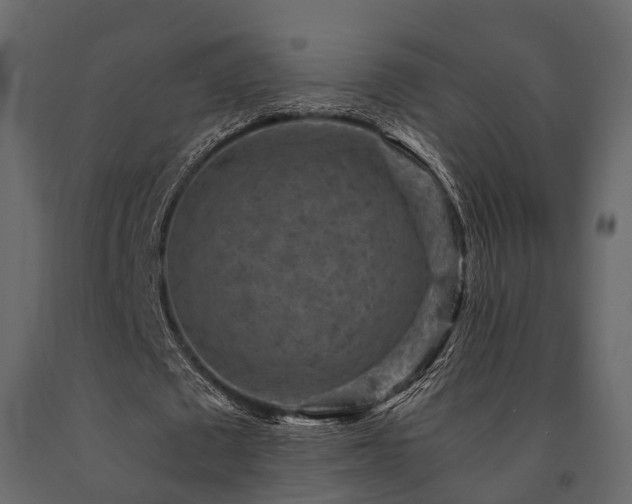 X0000091650673200708231222