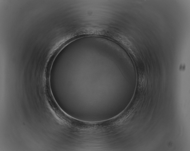 X0000091650674200708231222