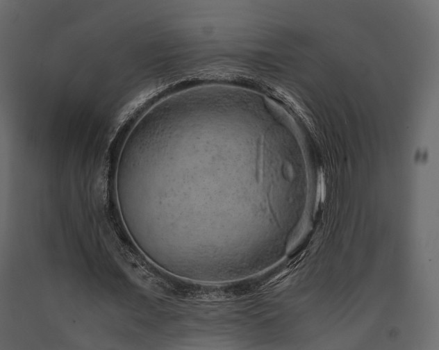 X0000091650675200708231222