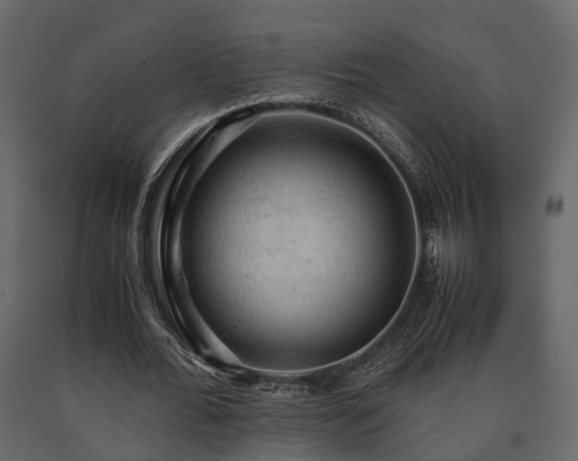 X0000091650676200708231222
