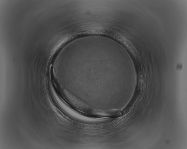X0000091650677200708231222