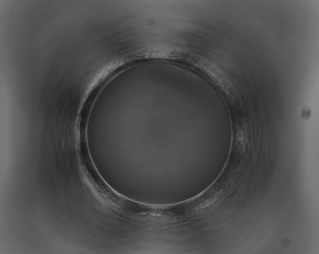 X0000091650678200708231222