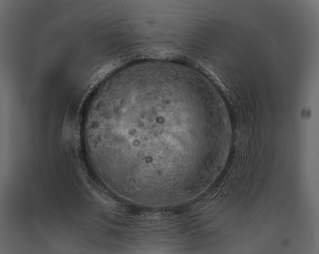 X0000091650679200708231222