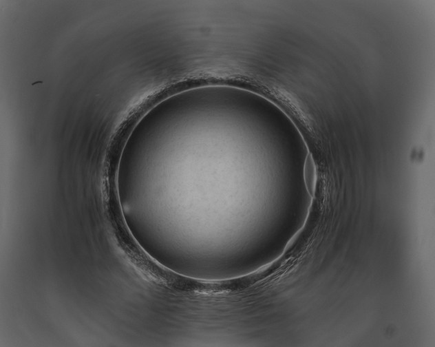 X0000091650680200708231222