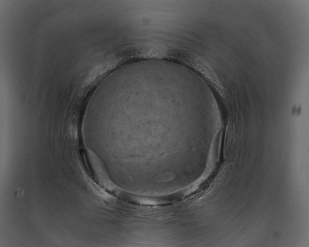 X0000091650681200708231222