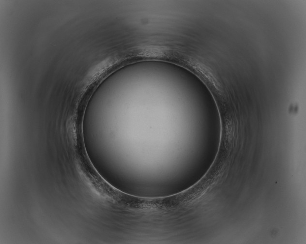 X0000091650682200708231222